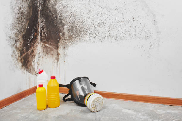 Best Mold Testing  in Glasgow, MO