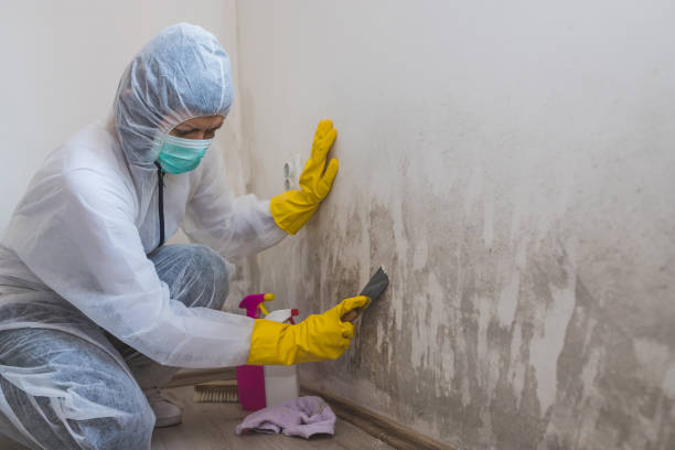 Best Mold Testing  in Glasgow, MO
