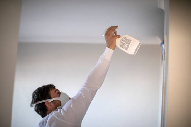 Best Professional Mold Removal  in Glasgow, MO