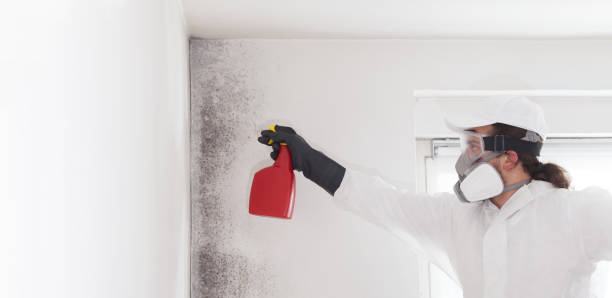 Best Commercial Mold Removal  in Glasgow, MO