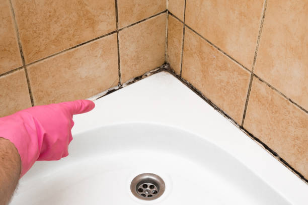 Best Affordable Mold Removal  in Glasgow, MO